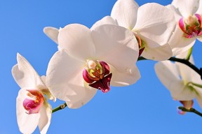世界帆船赛事海上救援演练第三季录像精编，海上帆船运动